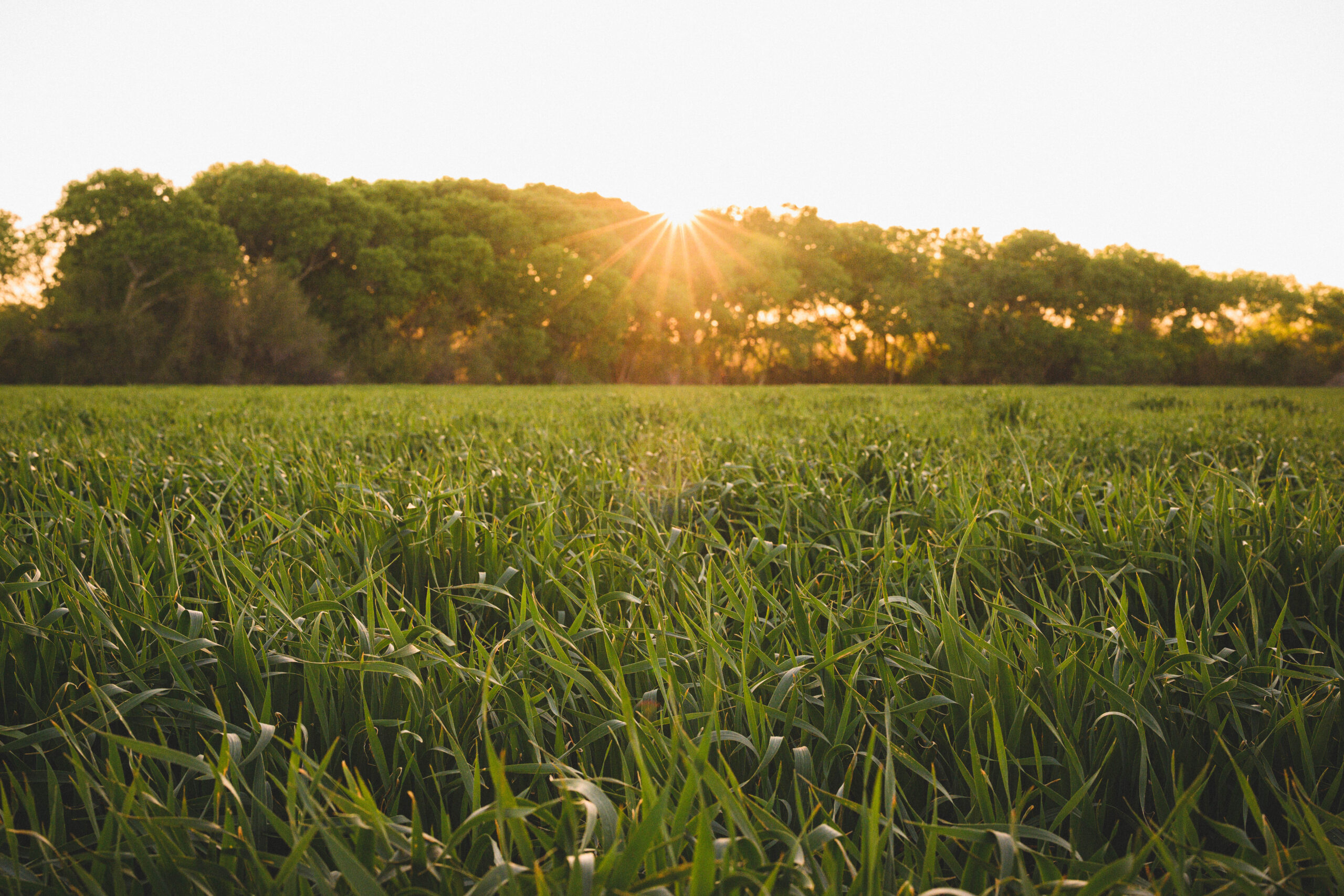 solar irrigation systems